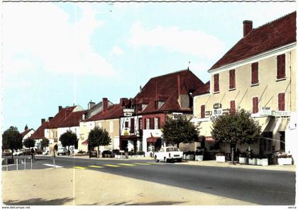 Carte Postale Ancienne de CHATEL DE NEUVRE-Les Hôtels