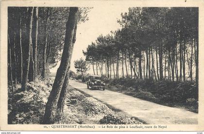 CPA Questembert Le Bois de pins à Louffault, route de Noyal