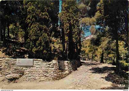 11 - Gruissan - Le Cimetière Marin - CPM - Voir Scans Recto-Verso