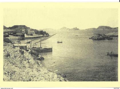 CP anse de la MALMOUSQUE