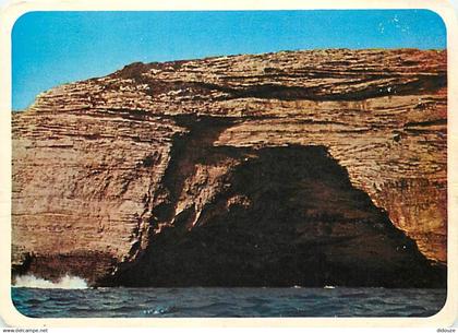 20 - Bonifacio - La Pinte de Bonifacio - Grotte appelée le Chapeau de Napoléon - CPM - Voir Scans Recto-Verso