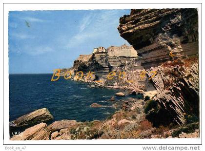 {36123} 20 2A Corse du Sud Bonifacio , Les Falaises côté Sud