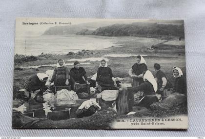 lavandières à Cesson, près Saint Brieuc, Cotes d'Armor 22