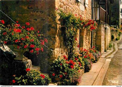 24 - Domme - Ruelle fleurie - CPM - Voir Scans Recto-Verso