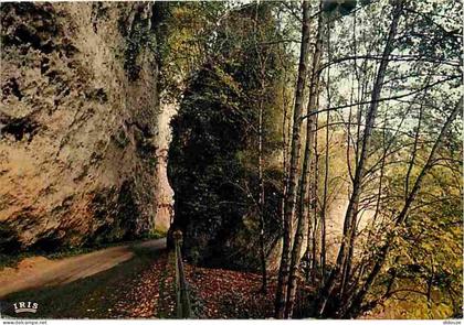 24 - Les Eyzies - Capitale de la Préhistoire - Le pas du Miroir - Flamme Postale de Les Eyzies - CPM - Voir Scans Recto-