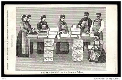 24 Eymet brou de noix conserve D24D K24167K C24167C RH100940