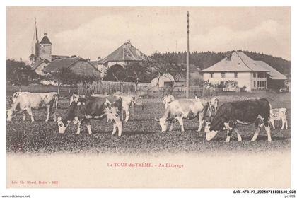 CAR-AFRP7-0424-25 - LA TOUR-DE-TREME - Au paturage - Vache