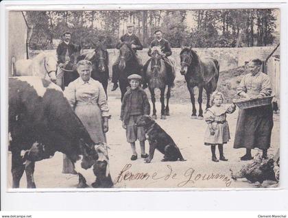 GOUMOIS: ferme de goumois - état