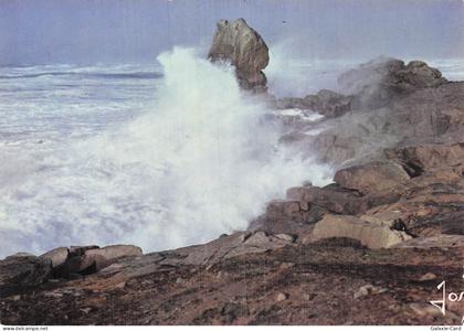 29 PLOMEUR LA TORCHE