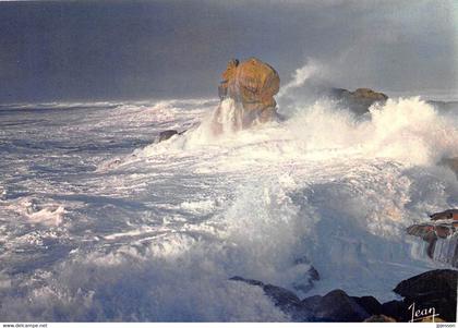 FINISTERE  29  PLOMEUR - TEMPETE SUR LA POINTE DE LA TORCHE