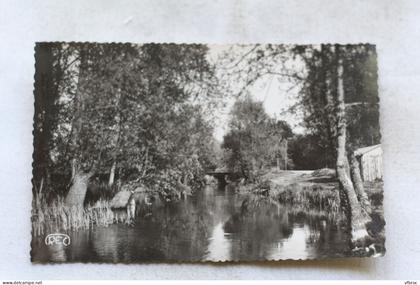 Cpsm, Villedieu sur Indre, les bords de l'Indre à Mehun, Indre 36