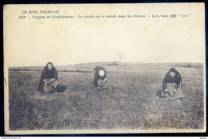 cpa du 39 Jura types et coutumes , la récolte de la salade dans les champs     JU25-116