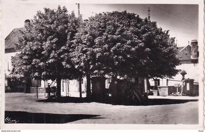 GENDREY(ARBRE)