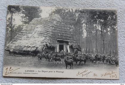 Le départ pour  le pâturage, Landes 40