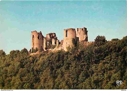 Carte Postale - 46 - Roussillon - Le Château de Roussillon - CPM - Voir Scans Recto-Verso - Poscard - Carta Postal -  Po