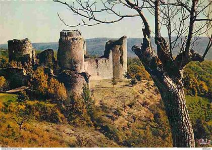 Carte Postale - 46 - Roussillon - Le Château de Roussillon - CPM - Voir Scans Recto-Verso - Poscard - Carta Postal -  Po