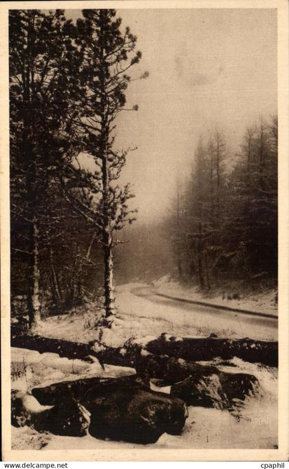 CPA Mont Aigoual La Route de Valleraugue au Mont Aigoual