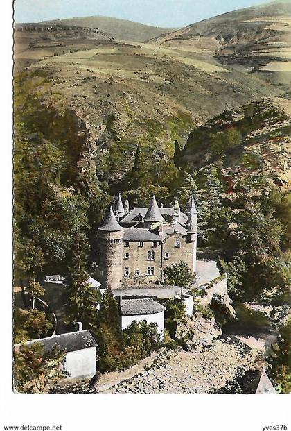 Environs de BLEYMARD - Le château du Champ