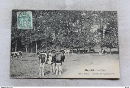 Guerlet, la prairie, Marne 51