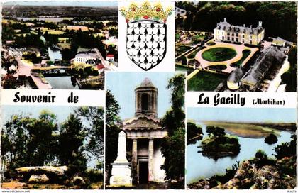 CPA Souvenir de la Gacilly (368904)