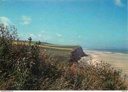 62 - Les Deux Caps - La Baie de Wissant - CPM - Voir Scans Recto-Verso