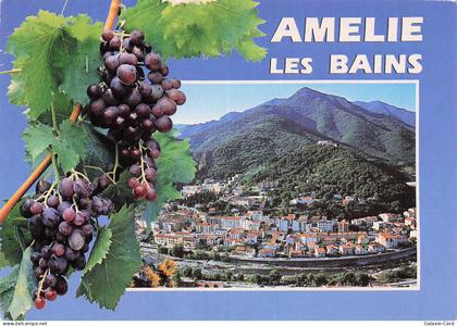 66 AMELIE LES BAINS PALALDA STATION THERMALE