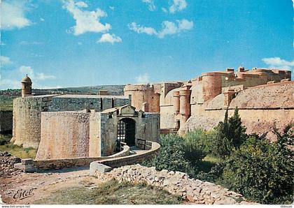 66 - Salses - Entrée du Château - CPM - Voir Scans Recto-Verso