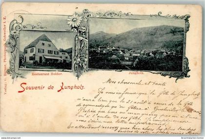 13289564 - Jungholtz Jungholz
