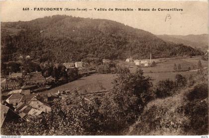 CPA FAUCOGNEY-et-la-MER - Vallée de Breuchin - Route de Corravillers (636628)