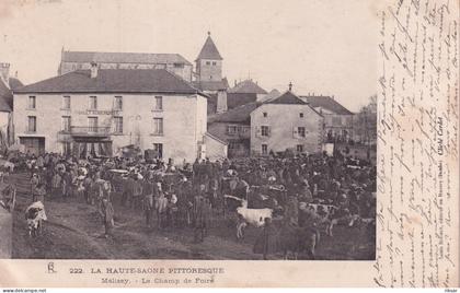 MELISEY(TIRAGE 1900) FOIRE