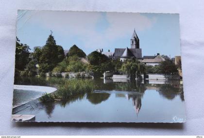 Cpm 1969, Noyen sur Sarthe, bords de la Sarthe 72