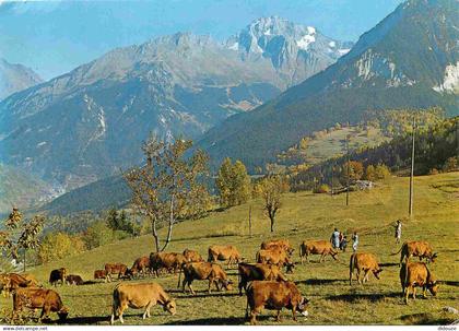 73 - Praz de Saint Bon - Le Grand Bec - La Becca Motta - Vaches - CPM - Voir Scans Recto-Verso