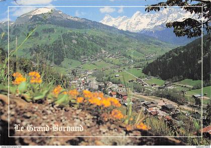 74 LE GRAND BORNAND LE GRAND BORNAND