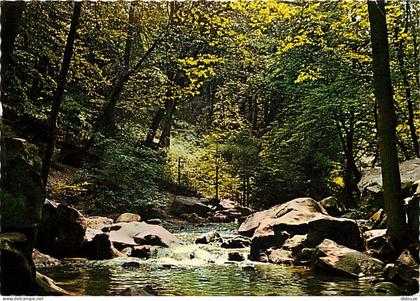 Carte Postale - 78 - Les Vaux de Cernay - Cascade des Vaux de Cernay - CPM - Carte Neuve - Voir Scans Recto-Verso - Posc
