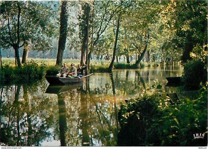 Carte Postale - 79 - Le Marais Poitevin - Venise Verte - La grande rigole - Promenade dans la Venise Verte - CPM - Voir