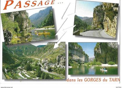 CP GORGES DU TARN
