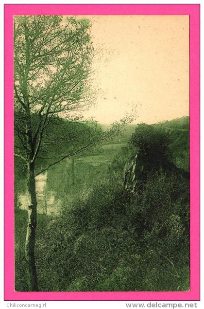 Pissotte - Forêt de Vouvant - Les Rochers de Saint-Luc - Carte Verte - R. BERGEVIN