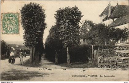 CPA AK Coulanges-la-Vineuse Les Promenades FRANCE (1176783)