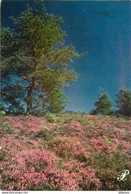 Carte Postale - 87 - Haute Vienne - Limousin - Carte Prestige Limousin - CPM - Voir Scans Recto-Verso - Poscard - Carta