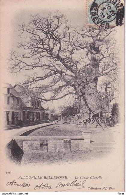 ALLOUVILLE BELLEFOSSE(ARBRE)