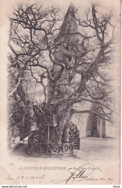 ALLOUVILLE BELLEFOSSE(ARBRE)