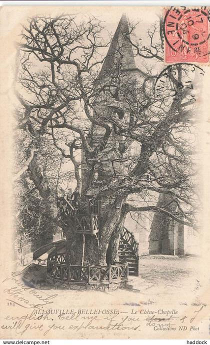 ALLOUVILLE BELLEFOSSE : LE CHENE CHAPELLE