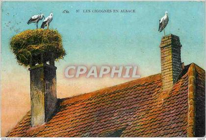 CPA Les Cigognes en Alsace