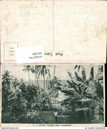 442588,Neukaledonien New Caledonia Native Village Volkstypen Palmen