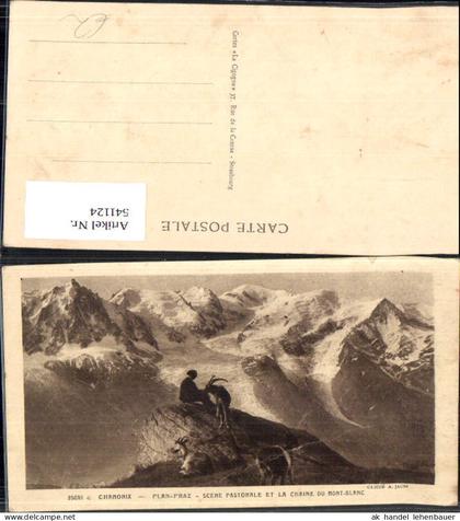 541124 France Chamonix Plan-Praz Scene Pastorale et la Chaine du Mont Blanc