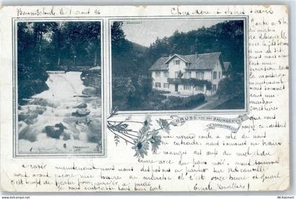 68150 Ribeauville Rappoltsweiler 1897 - Baumschule - 51630771