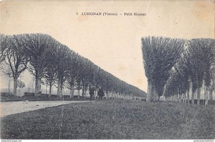 B104666 France Lusignan Vienne, Petit Blossac Trees Road