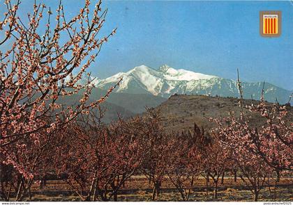 B49668 Roussillon Le Canigou  france
