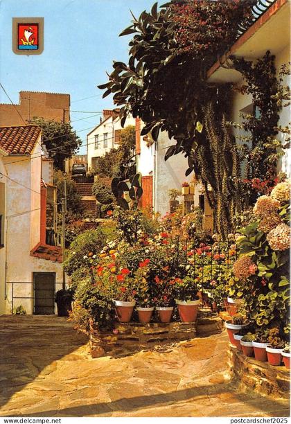 B50105 Banyuls sur Mer Vieille    france