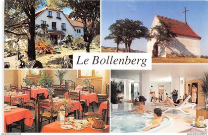 B50349 Hotel Le Bollenberg Rouffach   france